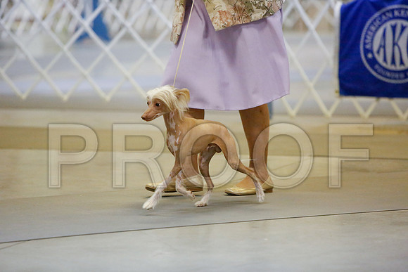 _JJ_2048-AmarilloSept2014-HR3