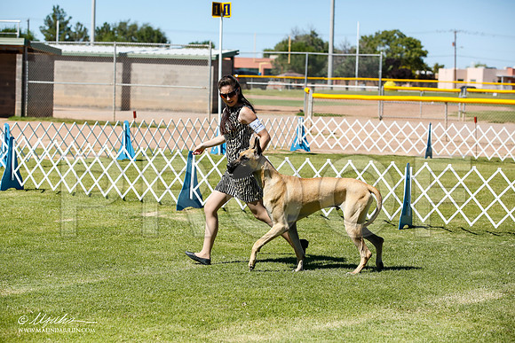 _JN_6334-AlamogordoOct2014-HR3