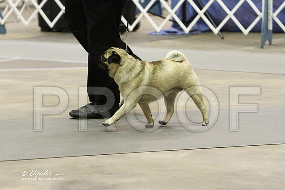 Pug-9355LR