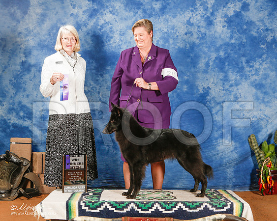 _ST_1373-2-GlenRoseJan2015-HR3