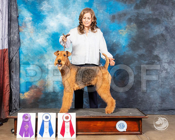 Airedale Susana MichellSSR_4516-FWTX2019-HR3