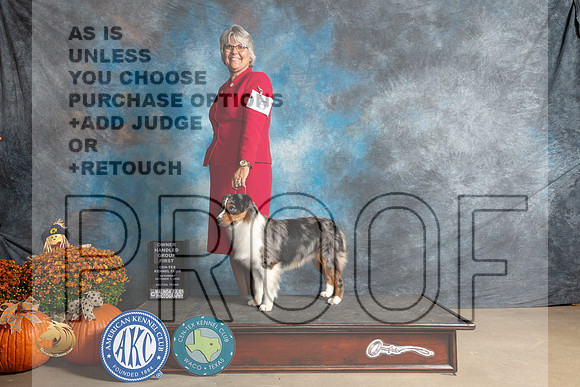 Miniature American Shepherd #5 Sat G1 Judge Steve Keating_MJ_5963_Belton_2022_HR3