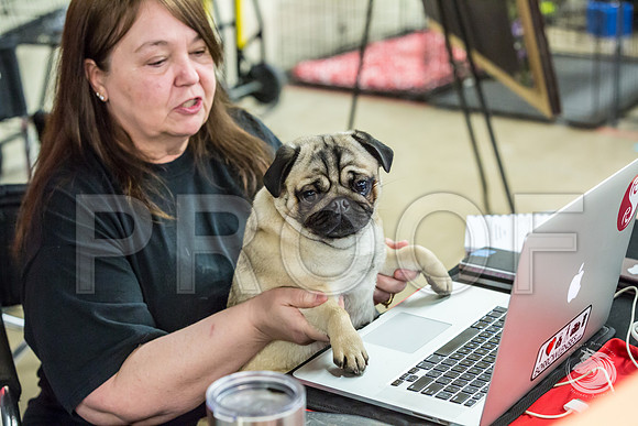 PUG! and malindaJJJ_2344-FWTX2019-HR3