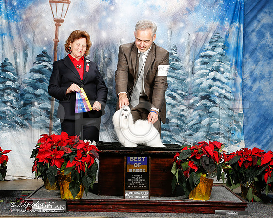 _ST_9511-2-DallasDec2014-HR3