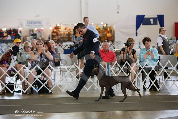 _JJ_2404-DallasJul2014-HR3