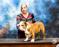 Bulldog Rhonda Kenney 2