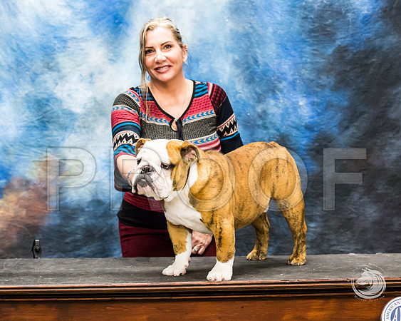 Bulldog Rhonda Kenney 2JJJ_3537-FWTX2019-HR3
