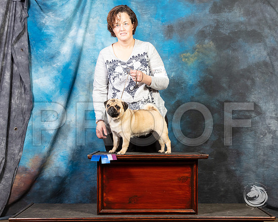 Pug Julie Quinn SunSSR_4637-FWTX2019-HR3