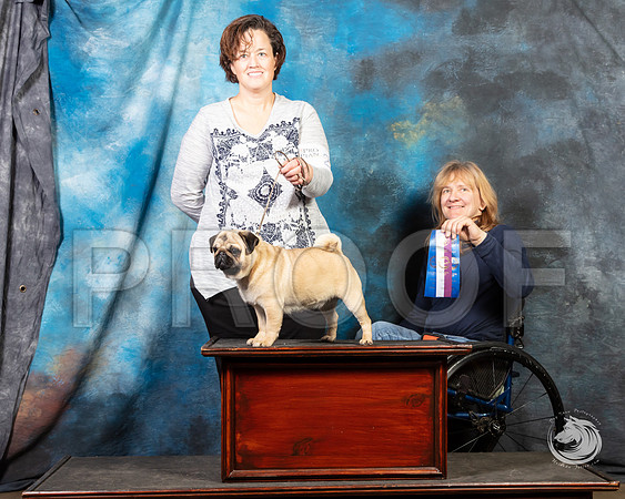 Pug Julie Quinn SunSSR_4641-FWTX2019-HR3