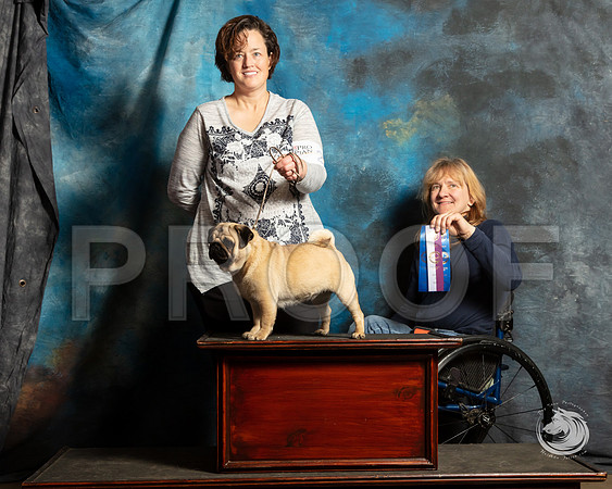 Pug Julie Quinn SunSSR_4642-FWTX2019-HR3