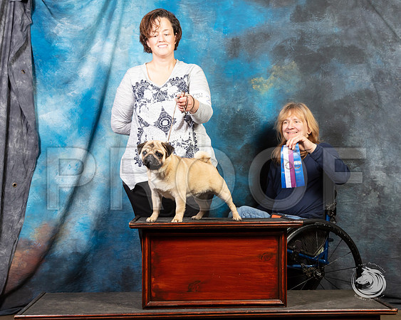 Pug Julie Quinn SunSSR_4644-FWTX2019-HR3