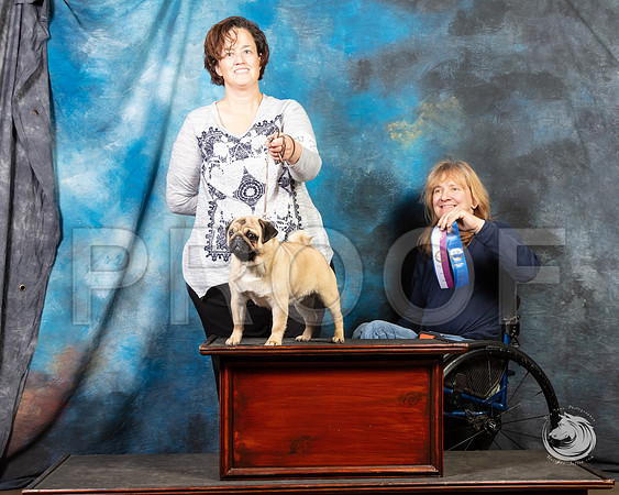 Pug Julie Quinn SunSSR_4646-FWTX2019-HR3