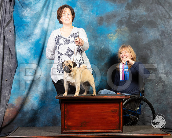Pug Julie Quinn SunSSR_4647-FWTX2019-HR3