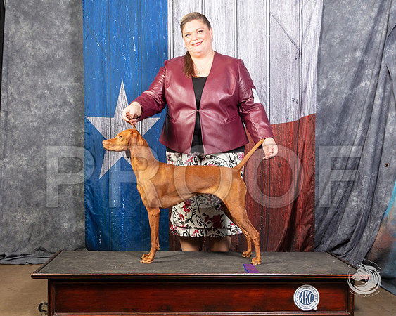 Viszla #12 Sun SSR_4631-FWTX2019-HR3