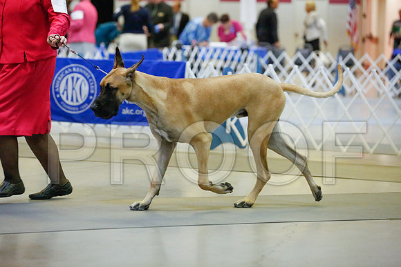 _JJ_6515-AmarilloSept2014-HR3
