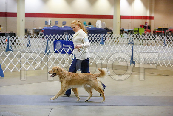 _JN_8746-AmarilloSept2014-HR3