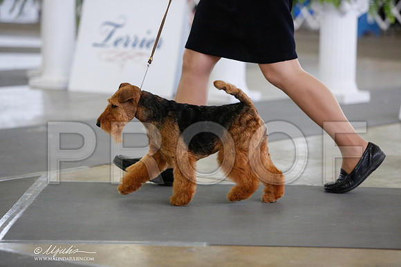 _JJ_2219-DallasJul2014-HR3