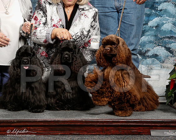 _ST_8914-2-DallasDec2014-HR3