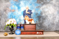 Cavalier King Charles Spaniel #15 Sun BOBOHBOB Judge Barbara Alderman