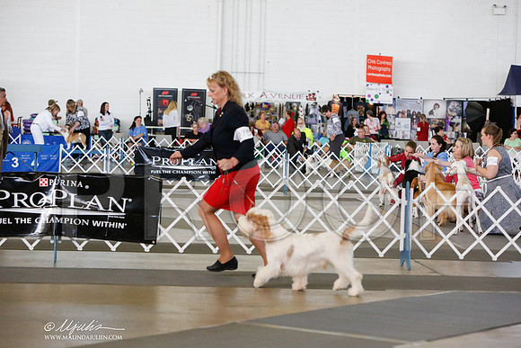 _JJ_7535-DallasJul2014-HR3