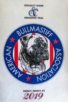 Bullmastiff Fort Worth Mar 2019