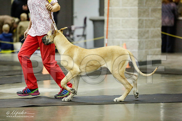 _RH_1694-BeltonJan2015IABCA-HR3
