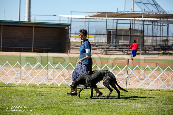 _JN_5904-AlamogordoOct2014-HR3