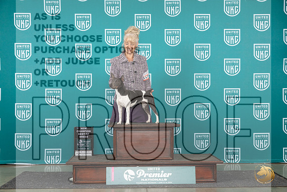 Rat Terrier #1139 Sat Judge Corianna Glen__JP_2308_Premier_2024_HR3