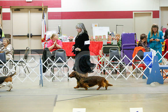 _JJ_4108-AmarilloSept2014-HR3