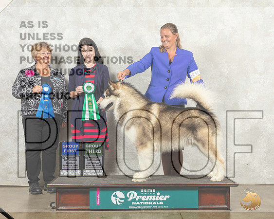 Alaskan Malamute #1243 Sat__MJ_9230_Premier_2022_HR3