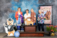 Norwich Terrier #38 Sat WBBOWM Judge Cathy Thompson-Morgan