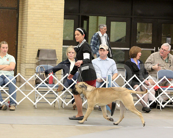 6-9PupSweeps-6515