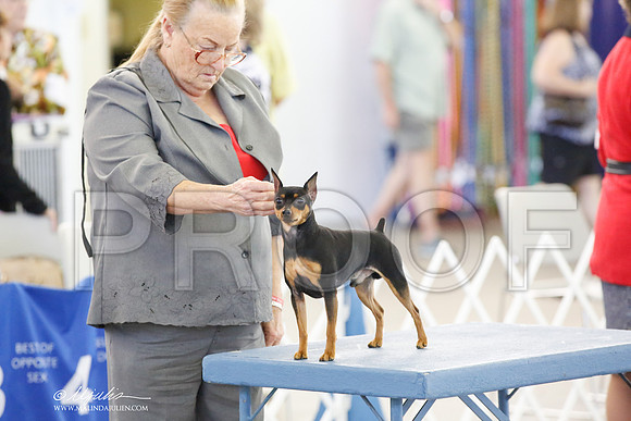 _CK_0461-DallasJul2014-HR3