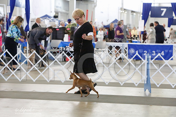 _HR_1352-DallasJul2014-HR3