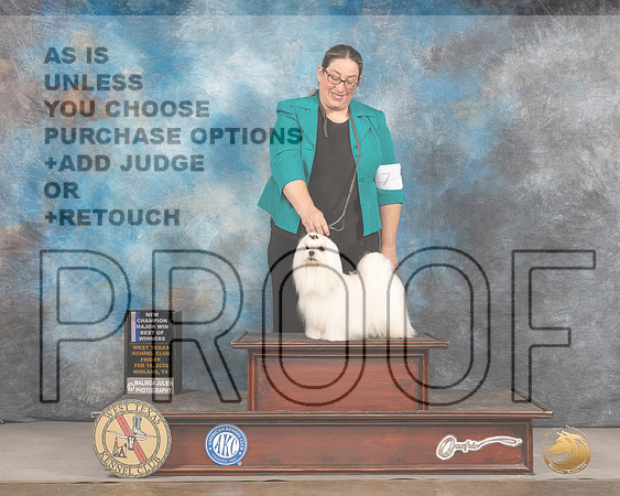 Maltese #5 Fri BOW Judge Gary AndersenMMJ_3012_Mdlnd2022_HR3