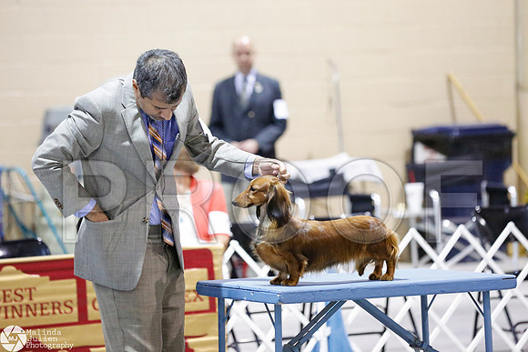_CL_8449-SanAntonioJul2014-HR