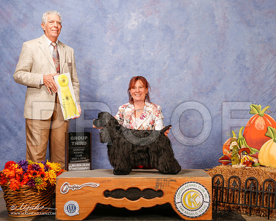 _CL_4516-3-SanAngelo2014-HR3