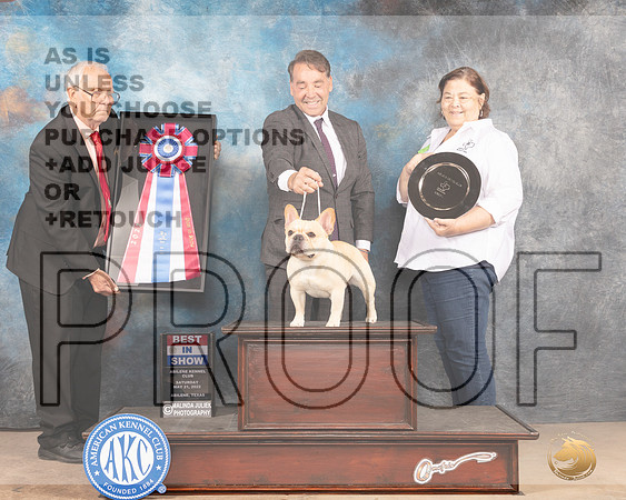 French Bulldog #7 Sat BIS Judge Thomason Stanfield Jr-MMJ_4304-Abilene2022-HR3