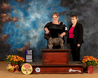 Cairn Terrier #8 Sat WB Judge Nicolas DeBedout