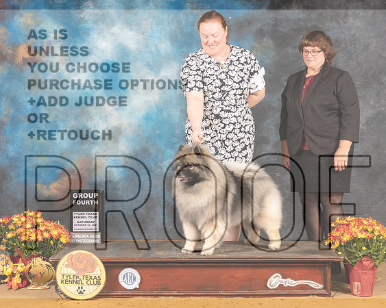 Keeshond #6 Sat G4 Judge Carol Moser_MMJ_1627_Tyler2021