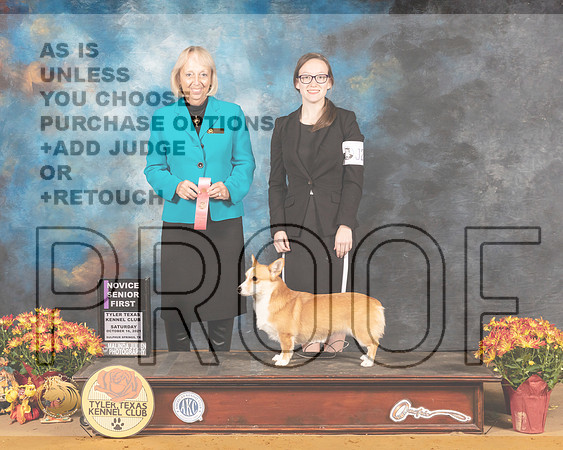 Pembroke Welsh Corgi #J200 Sat NovSrJr1 Judge Alisa Brother_MMJ_1616_Tyler2021
