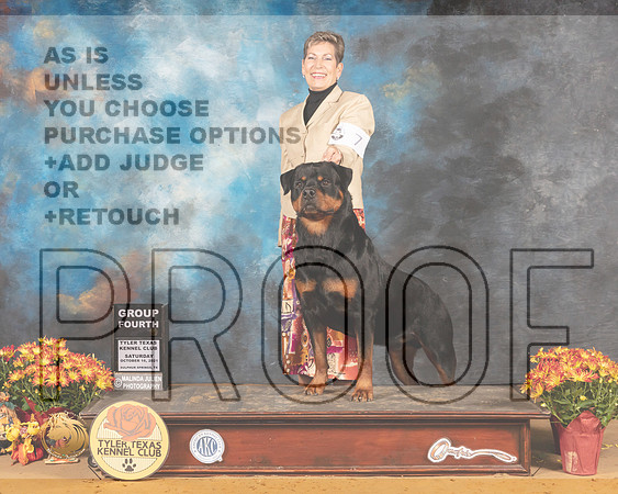 Rottweiler #7 Sat G4 Judge Karen Hynek_MMJ_1653_Tyler2021
