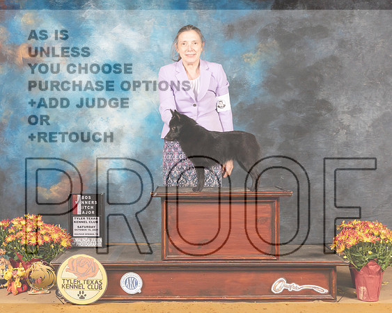 Schipperke #6 Sat BOSWB Judge Carol Moser_MMJ_1631_Tyler2021