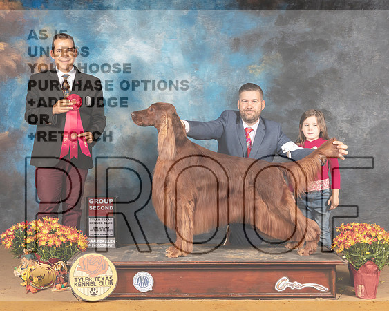 Irish Setter #5 Sat G2 Judge Nicolas Debedout_MMJ_1770_Tyler2021