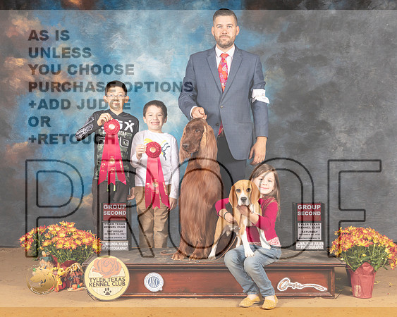 Irish Setter Beagle Sat G2_MMJ_1796_Tyler2021