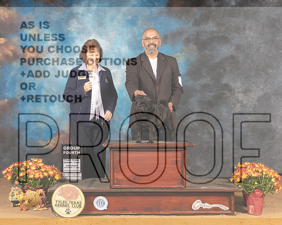 Pug #5 Sat G4 Judge Helen Tomb Taylor_MMJ_1684_Tyler2021