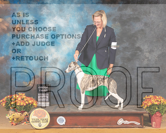 Whippet #6 Sat G3 Judge Nicolas Debedout_MMJ_1761_Tyler2021