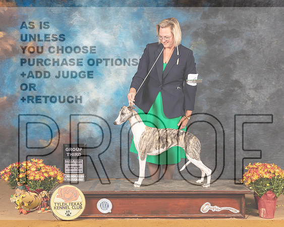 Whippet #6 Sat G3 Judge Nicolas Debedout_MMJ_1762_Tyler2021