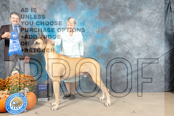 Great Dane #7 Sat G1 Judge Lloyd Graser_MJ_6194_Belton_2022_HR3