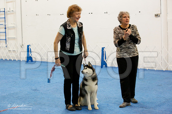_M3_7618-AddisonHuskyMar2015-HR3